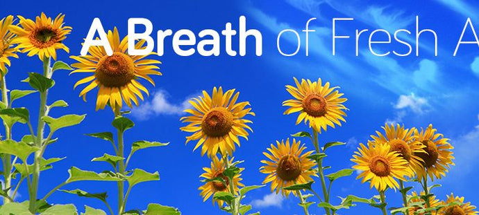 Who is Your Breath of Fresh Air?