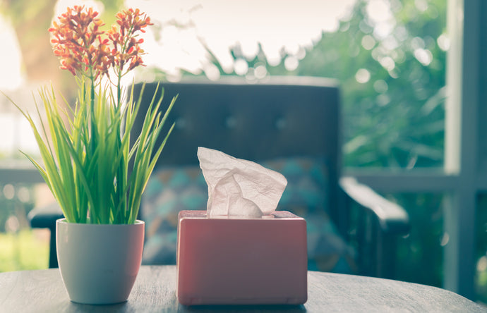 Winter Hayfever, The Facts.